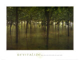Revitalisation - Forêt Posters par Sharon Woodruff