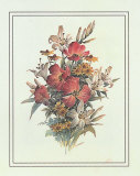 Tulips Prints by T. C. Chiu Tulips Prints by T. C. Chiu