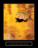 Craig Tuttle - Success: Autumn Leaf Obrazy