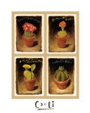 Cactus Poster par Joseph D. Fiedler