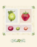 Antique Fruits Posters by Alex Bloch