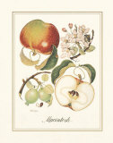Macintosh Prints by Nan Wiggins