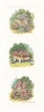 Antique Wheelbarrow Posters by Peggy Thatch Sibley