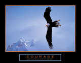 Courage - Bald Eagle Kunst