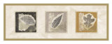 Leaf Trio Posters by Diane Kline