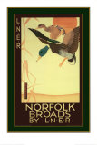 Ducks Poster Ducks Poster