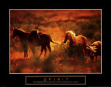 Spirit: Horses Plakater Spirit: Horses Plakater