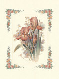 Iris rose Posters par T. C. Chiu