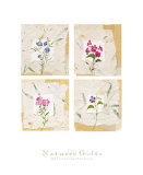 Nature's Gift II Poster von Antonietta Vernice
