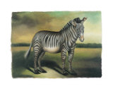 Zebra Print by Denise Crawford