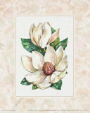 Fleur du jour : magnolia Posters par Jerianne Van Dijk