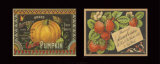 Berry Pumpkin Duet Print