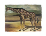 Giraffe Prints by Denise Crawford