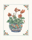 Cyclamen Prints by Ann McEachron