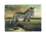 Zebra Prints by Denise Crawford