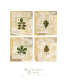 Nature's Gift I Prints by Antonietta Vernice
