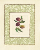 Plums Prints by Linda Casey