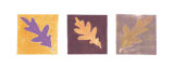 Leaf Impressions-Panel Ii Láminas por Eileen Crowell