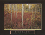 Discovery: Aspen Trees Poster