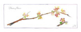Quince Branch Posters by Robbin Gourley
