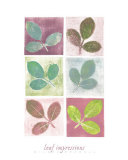Impresiones de hoja Láminas por Eileen Crowell