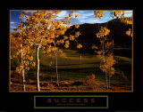 Success: Golf - Poster