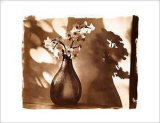 Paper Whites Prints by Luther Gerlach