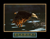 Leaders: Bald Eagle Prints