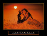 Leadership: Lion Poster