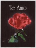 Te Amo Posters