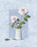Rose Posters by T. C. Chiu Rose Posters by T. C. Chiu