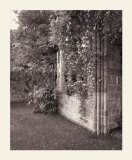 Paul's Backyard II Prints by Ned Witrogen