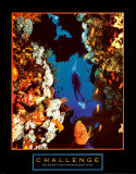 Challenge: Diver Arte Challenge: Diver Arte