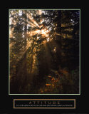 Attitude-Lumière forestière Affiche