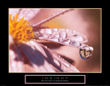 Insight: Dew Drop Poster