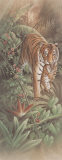 Tigre avec ses petits Affiches par T. C. Chiu