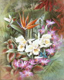 In the Tropics Art par T. C. Chiu