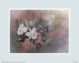 Weiße Orchideen Kunstdrucke von T. C. Chiu