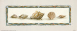 Five Shells Prints by T. C. Chiu