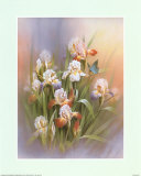 Blauer Schmetterling und Iris Poster von T. C. Chiu
