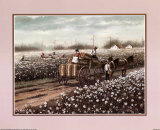 Cotton Pickers Print
