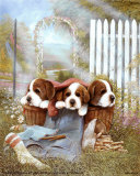 Puppies in Basket Posters by Ruane Manning