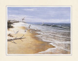 Deserted Beach with Seagulls Poster by T. C. Chiu