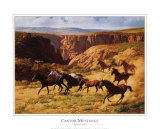 Mustangs por el cañón Láminas por John Leone Mustangs por el cañón Láminas por John Leone