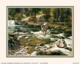Buck in Midstream Art by Jack Sorenson