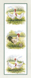 Rooster and Four Chickens Posters by Peggy Thatch Sibley