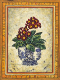 Primula Auricula Prints by Richard Henson