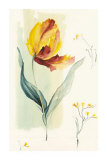 Tulip Art by Paul Hargittai