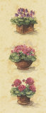 Floral Blooms Prints by Ruddeforth 