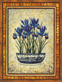 Iris Reticulata Posters by Richard Henson